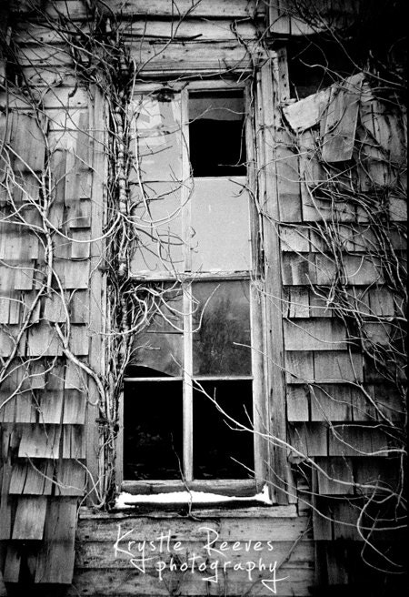Forgotten Window (8x12 print)