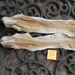 Pair of Small Whitetail Front Legskins with Hooves- Taxidermy Quality- Wet Tanned Lot No. Y2