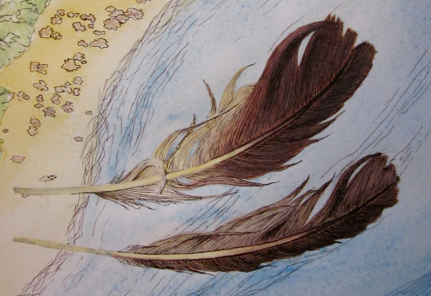 Sea bird Feathers and map -- original watercolour and ink painting