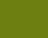 Essex In Lime by Robert Kaufman- 1 Yard