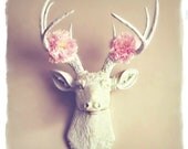What a Deer