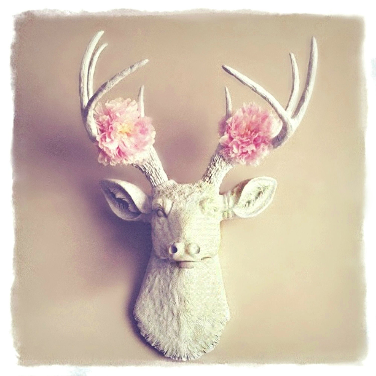 What a Deer