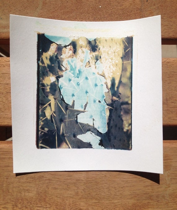 Polaroid Transfer