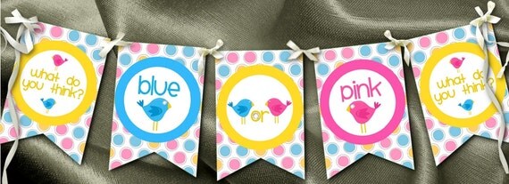 Baby Shower Decoration, Baby Gender Reveal Party, Blue or Pink, What Do You Think Il_570xn