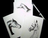 Note cards Arabian Horse Art Drawing Equine Equestrian Artwork Stationery Greeting Thank You Blank Card - Set of 6 w/ Envelopes