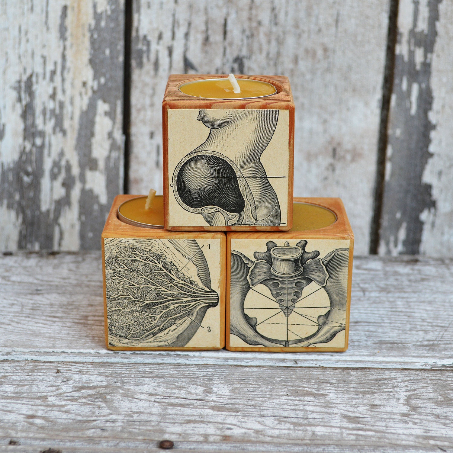 Anatomical Mothering Trio - Reclaimed pine candleblocks
