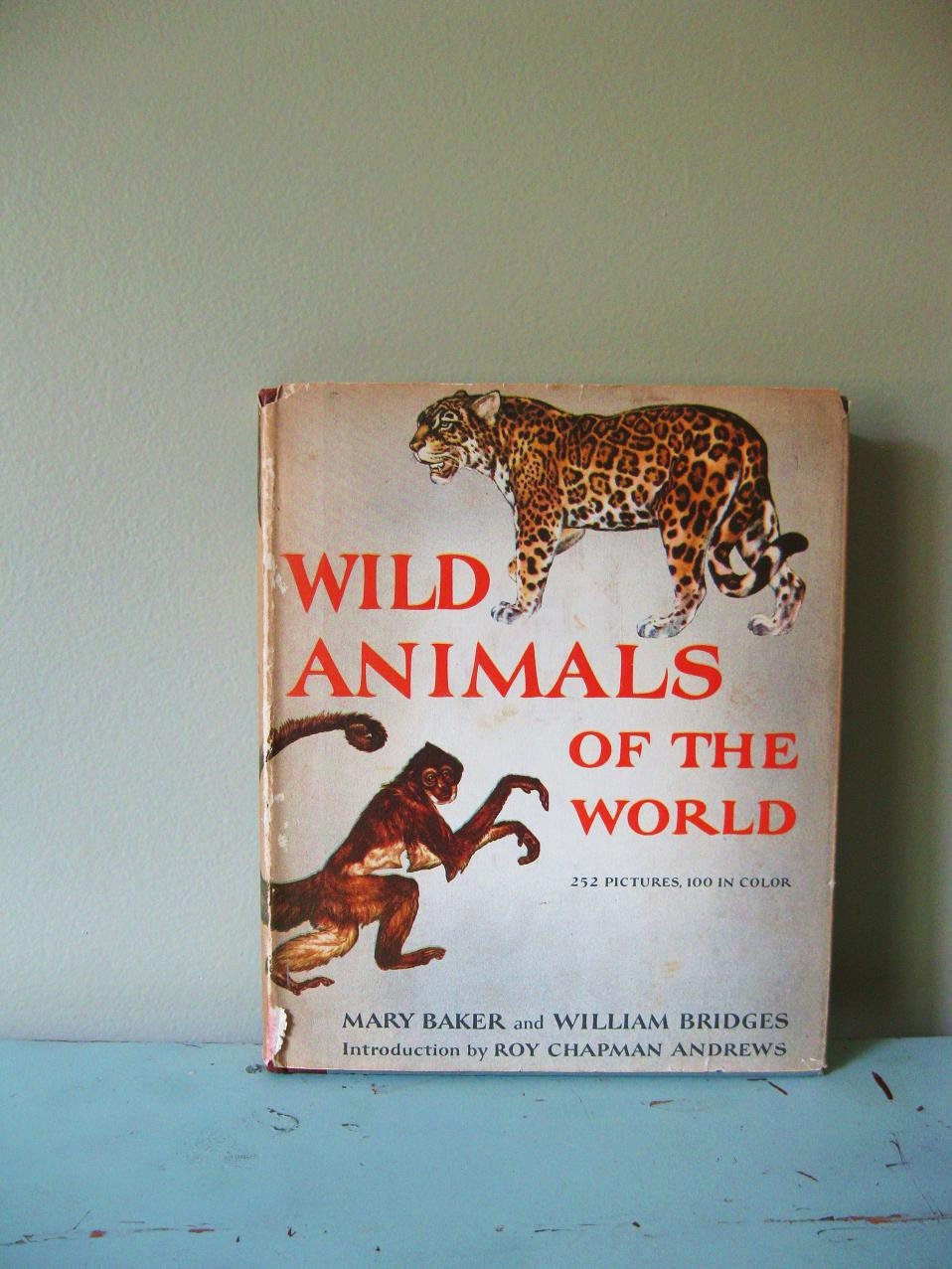 SALE...Vintage Illustrated Book Wild Animals of The World 1948