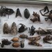 The Creepy Crawler Collection for Religious Powder Dust Grinding Religion Educational Magic Spell Art Crafts