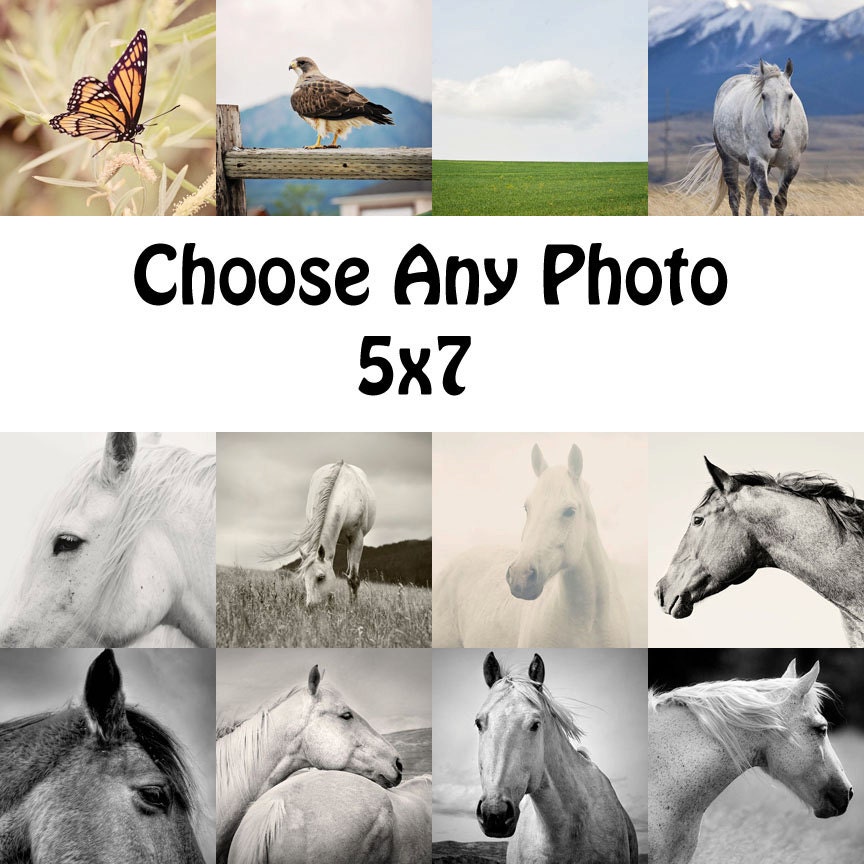 Any Photo Size 5x7, Custom sizing, photography, Horse photography