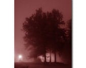 Dawn Mist photography silhouette trees surreal dawn 8 x 10 print red misty dawn spooky surreal nature - FischerFineArts