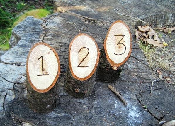 5 Tall Engraved Table Numbers From a Fallen Tree