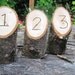 5 Tall Engraved Table Numbers From a Fallen Tree