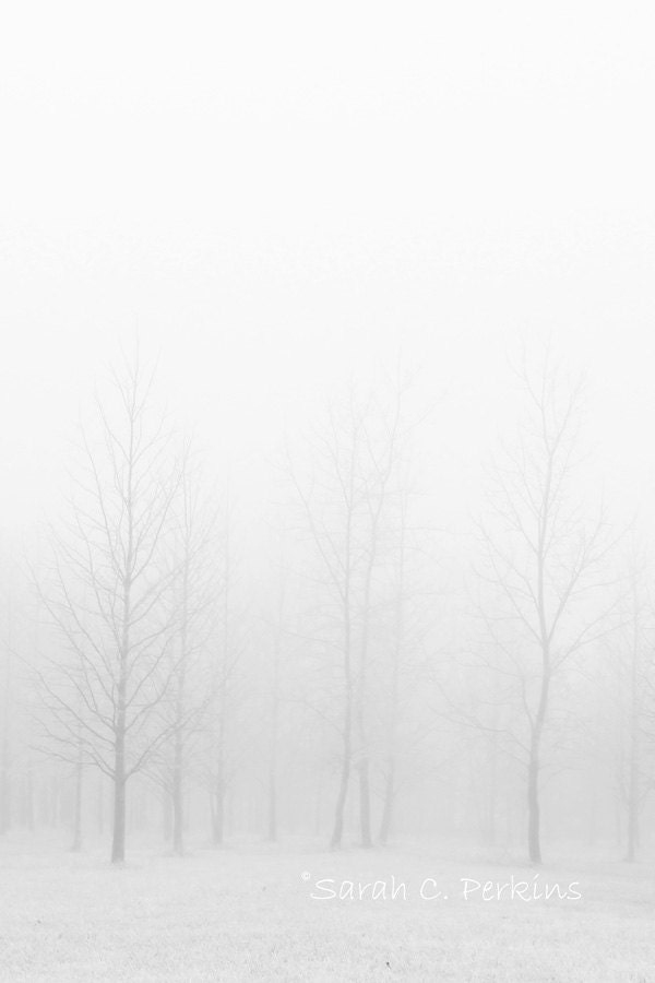 Minimalist Misty Foggy White Faded trees Fine Art photography 8x10 B &W winter snow silhouette bare trees IN STOCK