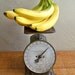 Perfectly Distressed Columbia Family Kitchen Scale "Farmhouse Chic Charmer"