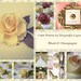 Reserved Listing For Dolores