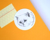 cat stickers  - 7 pack of round vinyl kitty stickers - circle stickers