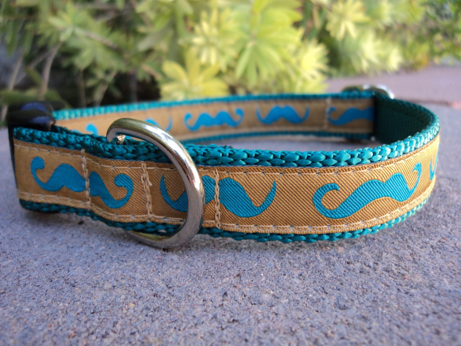 Mustache Dog Collar 3/4" Width / Choose Your Trim and Webbing Color / See Sizes in Listing img