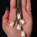 Tooth Fairy Series: Real Human Molar Pendant Necklace - 32" Long Chain