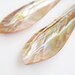 Sunlit Shells,Aquamarine L