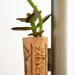 Succulent Cork Magnet,  Zabaco Jade