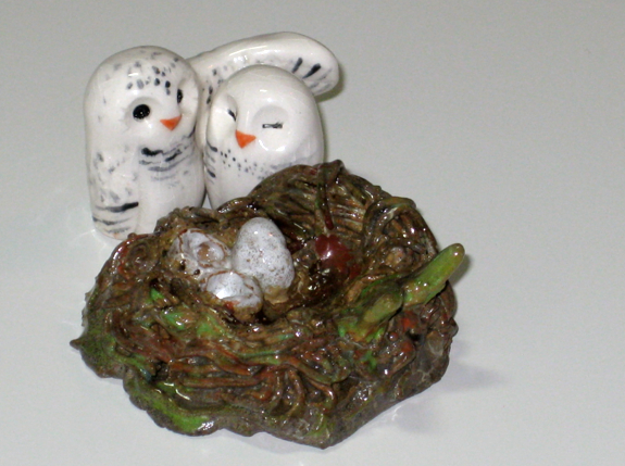 Small Owl Nest with 3 eggs and leaves