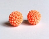 Peach orange chrysanthemum earrings on silver colour studs with ivory gift bag