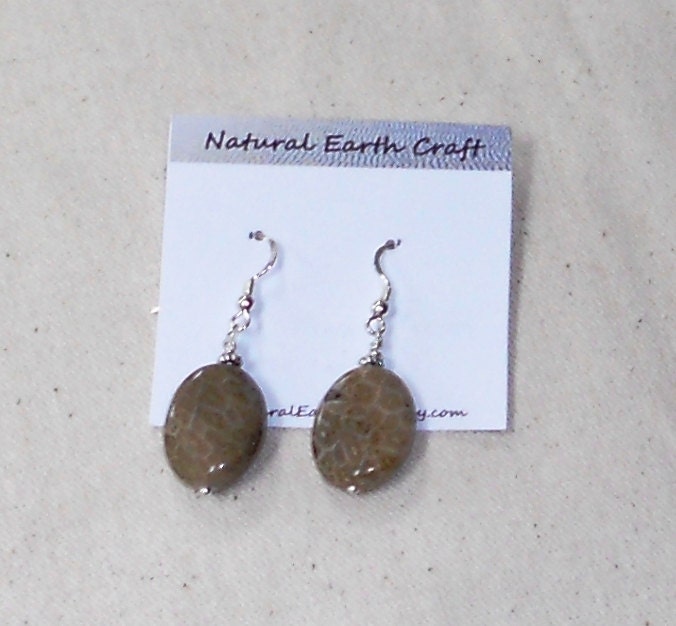 Fossil coral jasper Petosky stone earrings semiprecious stone jewelry packaged in a colorful gift bag J2216