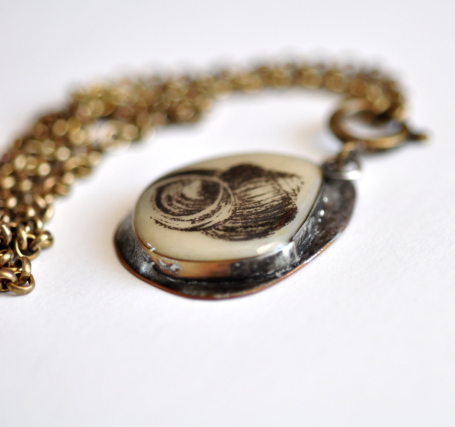 Gastropod Curiosities Necklace Sea Shell by Mad Tea Garden