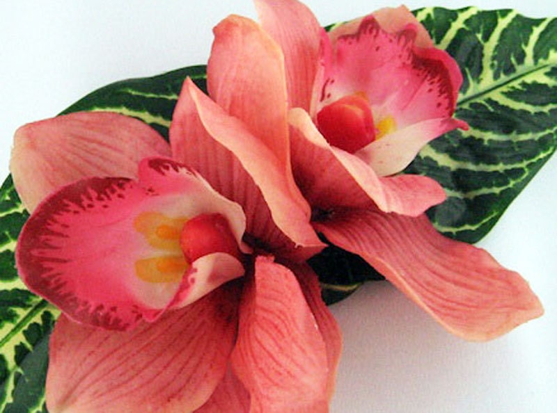 Coral, Peach, Salmon Red Cymbidium Orchid - FABULOUS - Large Double Flower Tropical Bridal Hair Clip Accessory