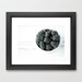 fall harvest kitchen cook art modern food photography rustic home decor white fruit photo 5x7 photograph farmers market "Blackberries l"