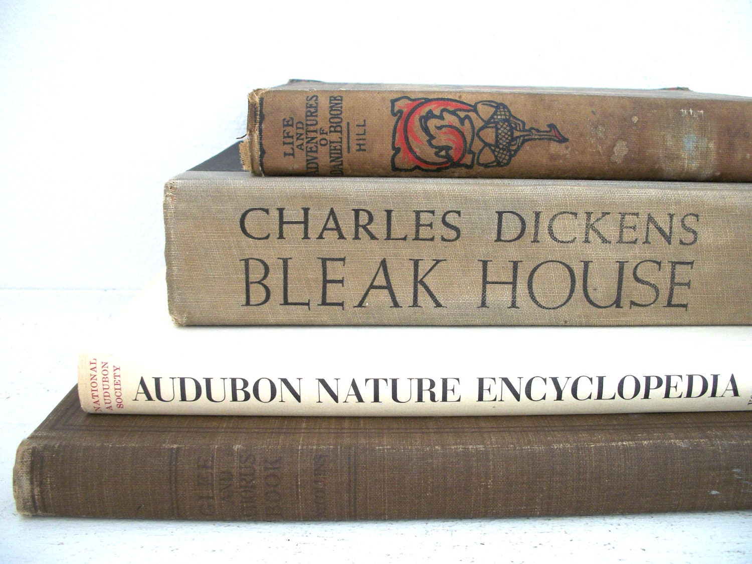Vintage Collection of Books- Cottage Collection - thedancingwren