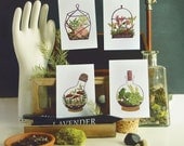 Terrarium Postcard SET 4pcs
