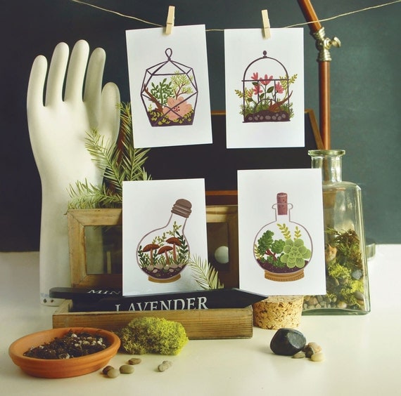 Terrarium Postcard SET 4pcs