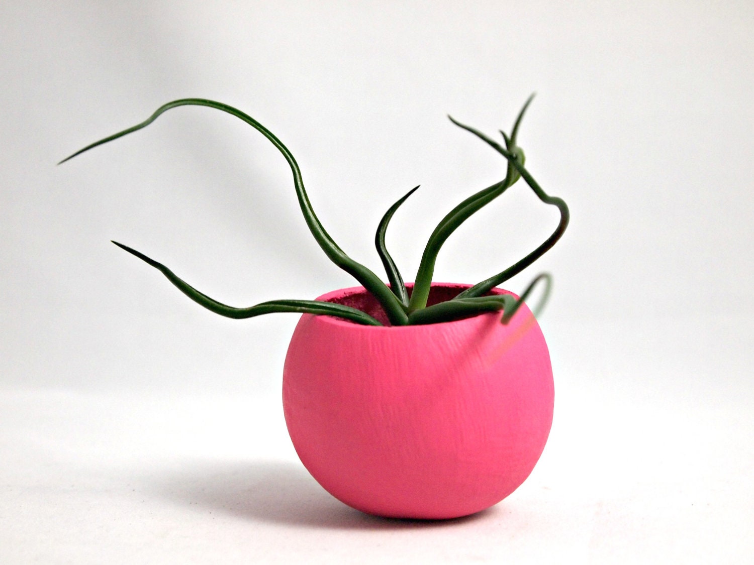 Mini Bulbosa Air Plant Container Pod - Hot Pink // Planter // Home and Garden // Gifts under 20