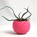 Mini Bulbosa Air Plant Container Pod - Hot Pink // Planter // Home and Garden // Gifts under 20