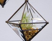 Pyramid Orb Air Plant Planter with Bevel Accent.
