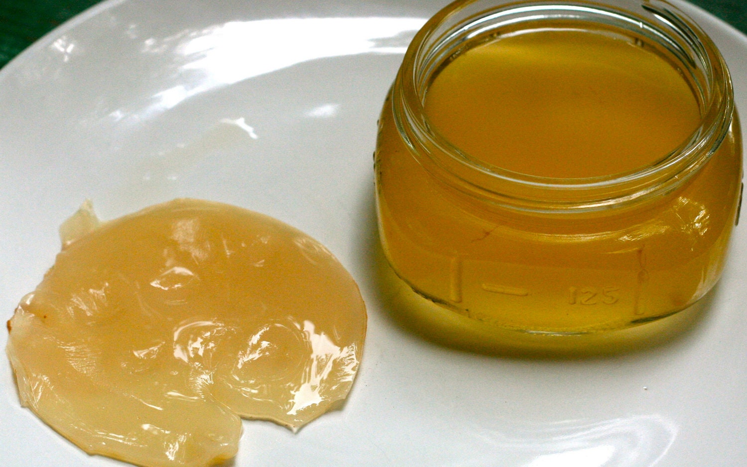 SCOBY Kombucha starter Brew your own RAW Kombucha tea alive, active, organic