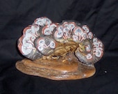 Original Hand Painted Artist Conk " Mushroom Chaos "  7" H X 4" W