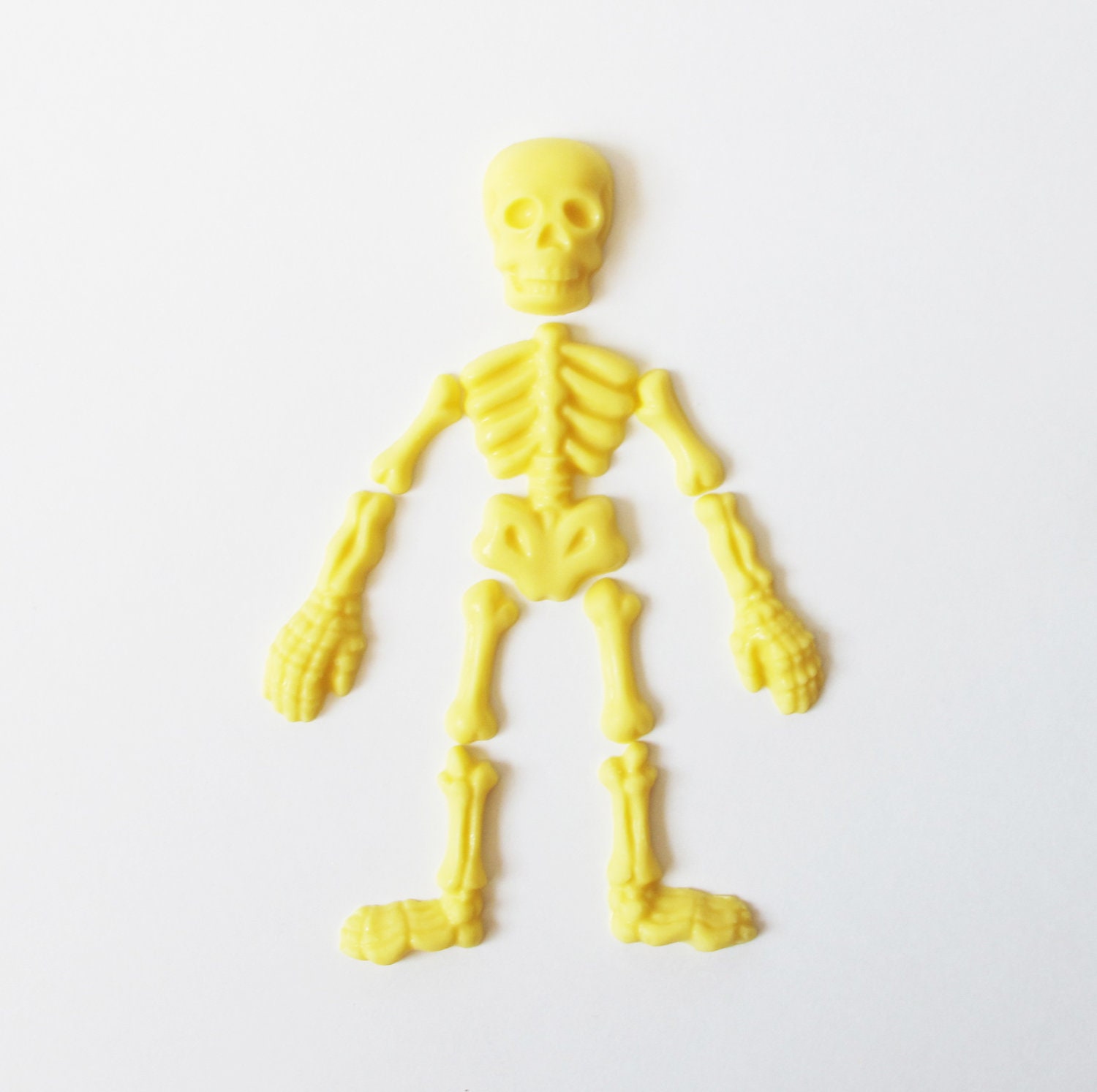 5 Chocolate Skeleton Pieces: Yellow Bones Il_570xn