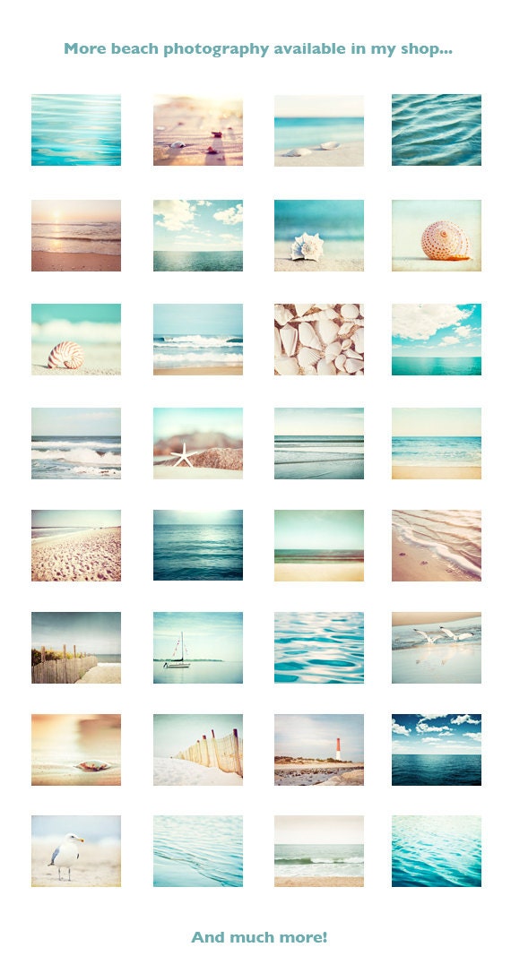 Seashell Photography - beach conch shell print - aqua blue beach photo sea - ocean white wall print - 5x7 Photograph - "Paradise"
