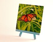 Art Print On Easel Orange Butterfly