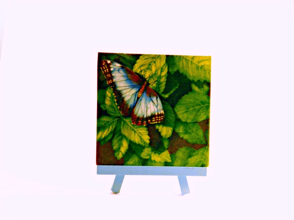 Art Print Blue Butterfly Mini Easel