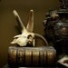 Vintage Four Horned Jacob Sheep Skull