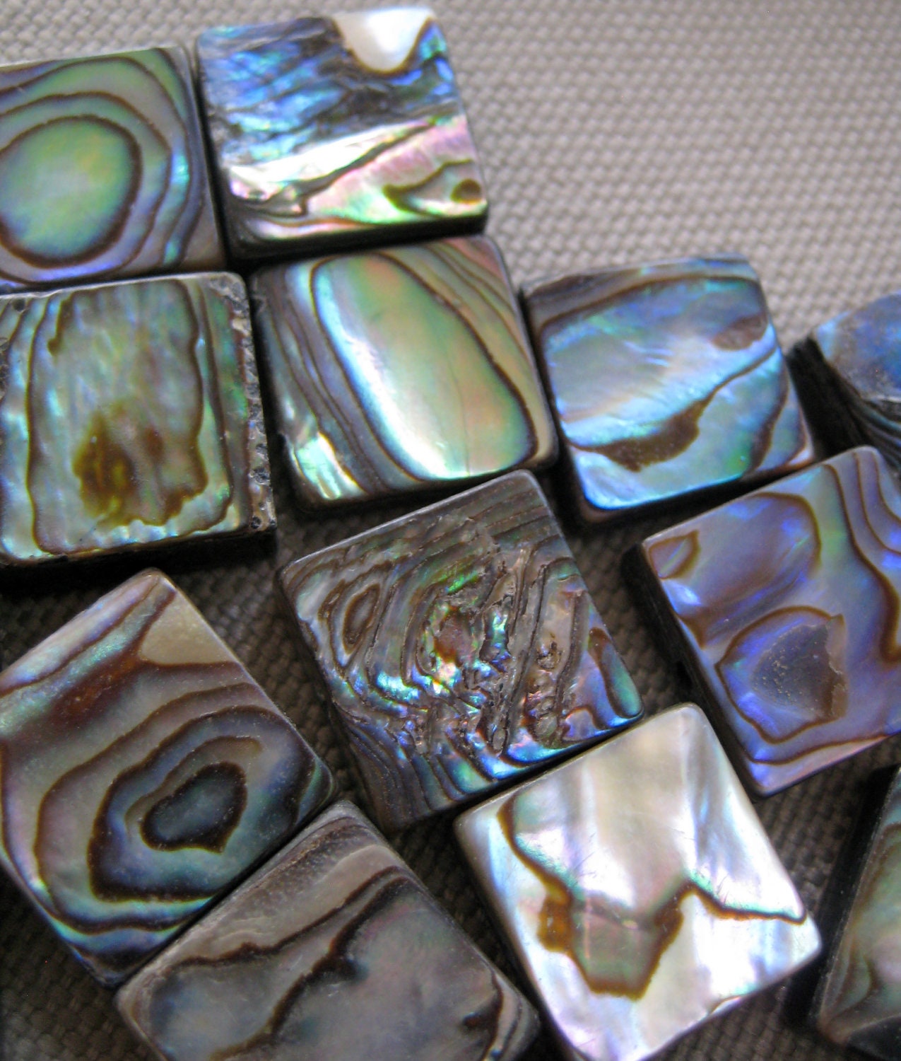 16" Strand of Paua Shell 12mm Beads 33 in Set