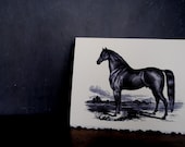 Horse Lover Stationery - 5x7 Note Cards - Set of 6 - Vintage Equine Graphic - TerraDeiFarm