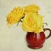 Shabby chic photograph, Yellow roses, Romantic floral print, Vintage style, french country home decor, nature, flower, 10x8, Giclée