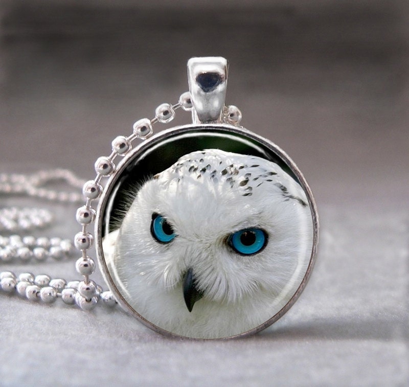 White Snowy Owl Face, Photo Pendant, Altered Art Pendant, Glass Dome Pendant , no 983-40