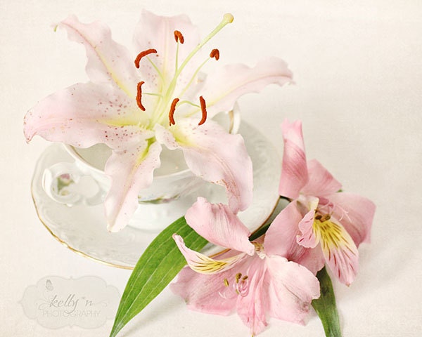 Lily Cup- Lilies and Vintage Teacup- Floral Still Life Photography- Pink and White- Flowers- 8x10 Fine Art Print
