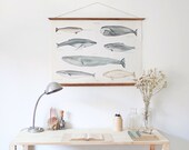 LARGE A1 Whales Canvas poster - vintage illustration educational chart  WAP2001