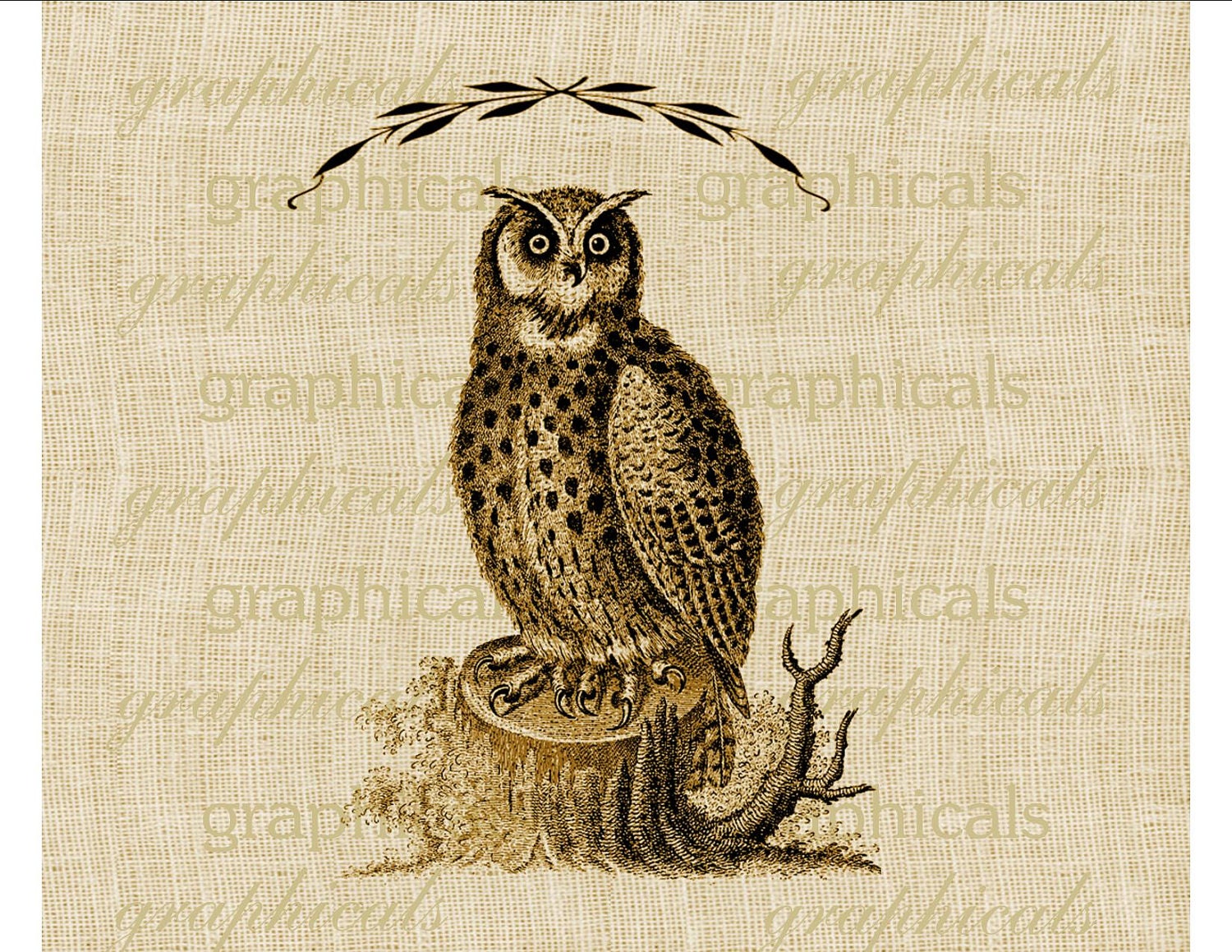Antique brown owl bird Digital download graphic  for iron on fabric transfer burlap decal clip art papercraft, tote bags pillows No. 326